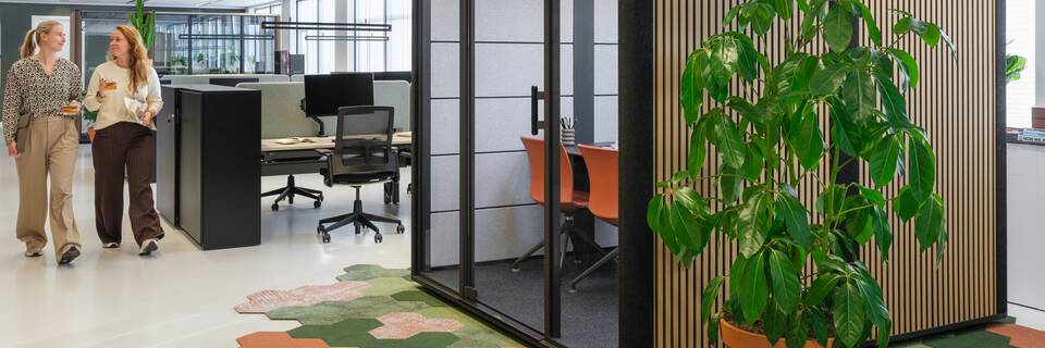 Cerene Skylight, Well