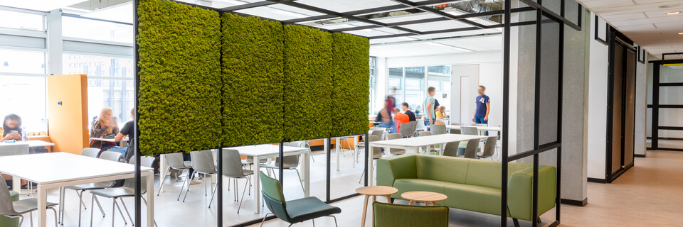 Fontys Nexus   landscapem