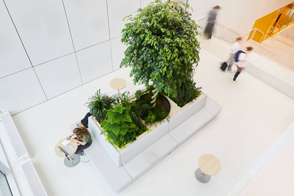 Fontys   landscapexl