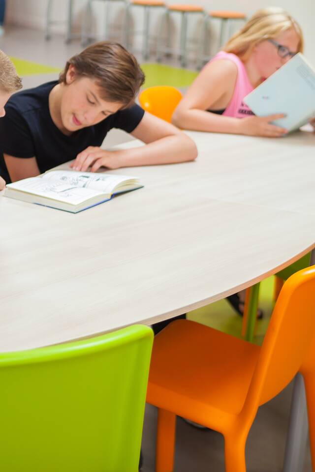 OBS de Toekan   portraitm