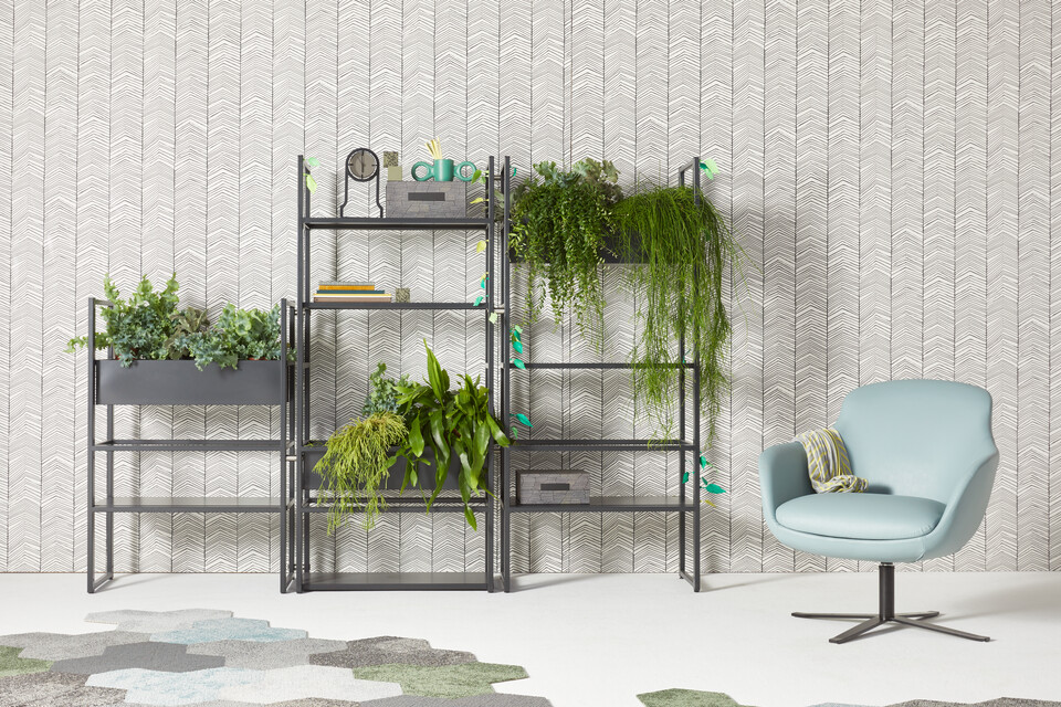 CIMO, Queen Low R13, Outline, Dombo, Leaves   landscapexl