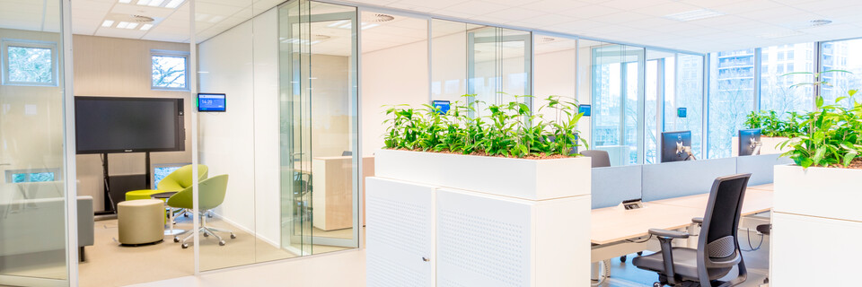 Koninklijke Auris Groep   landscapem