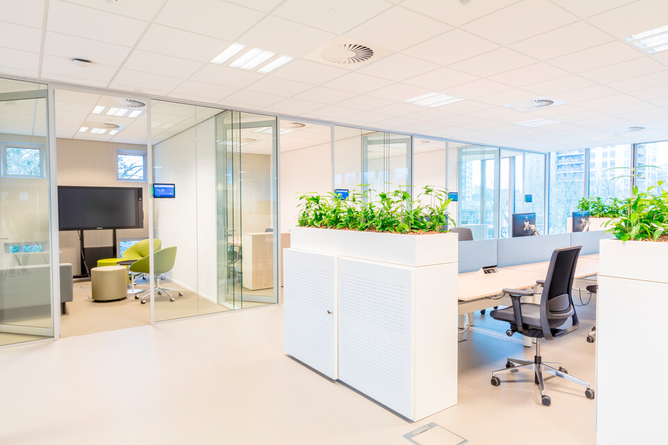 Koninklijke Auris Groep   landscapem