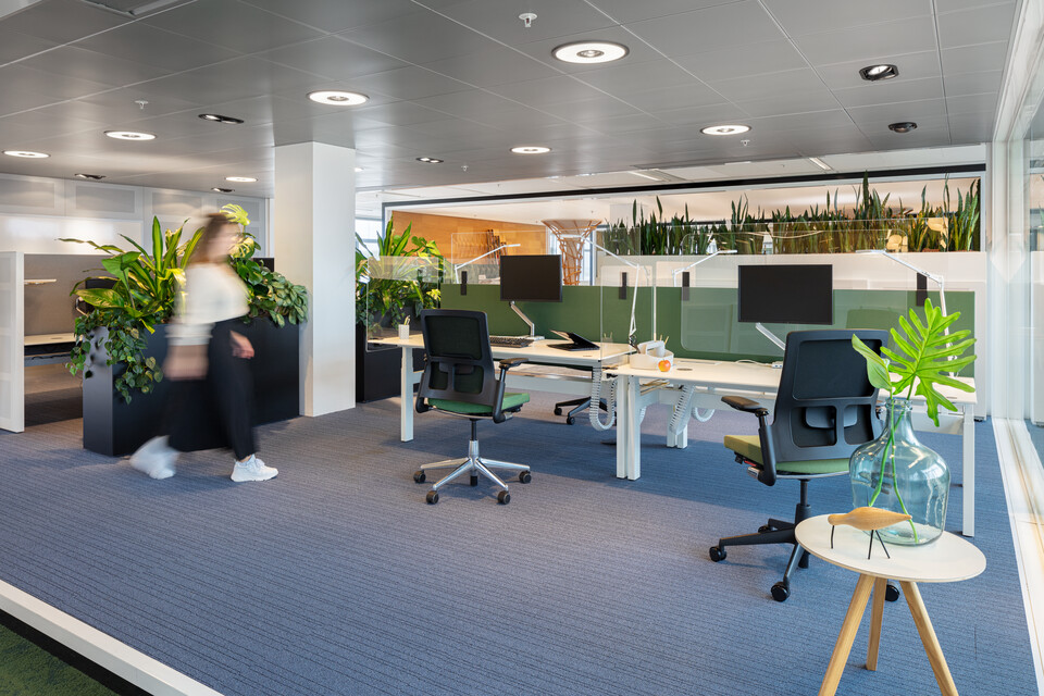 Balance, 2020 Verta, S25, Ahrend Clear Balance, 2020 Verta, S25, Ahrend Clear landscapem