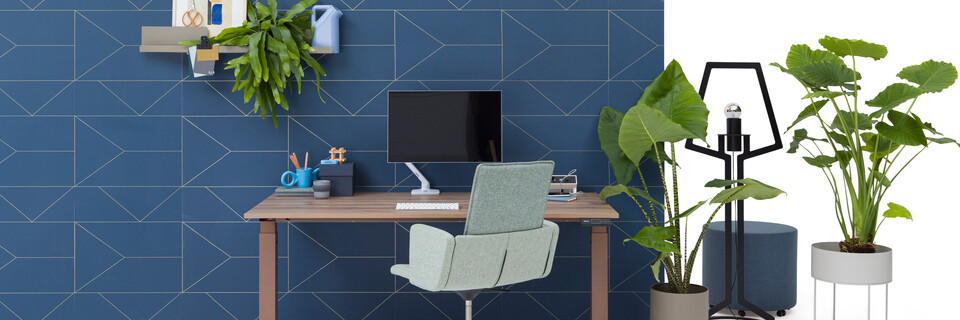 TMNL, Triennial Manage, Outline, Asido, Dombo   landscapexl