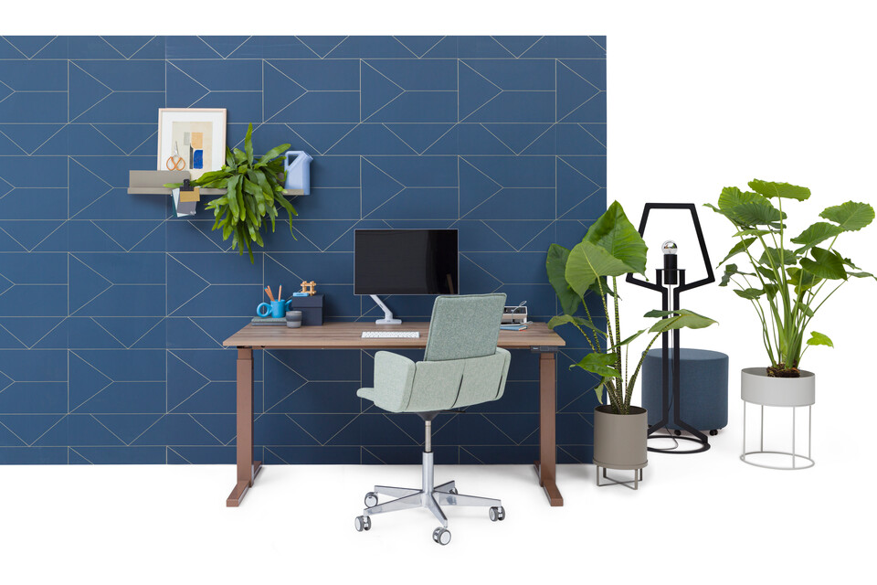 TMNL, Triennial Manage, Outline, Asido, Dombo   landscapexl