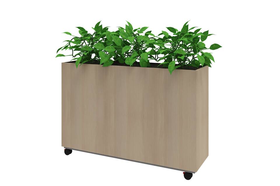 Plantenbak    landscapem