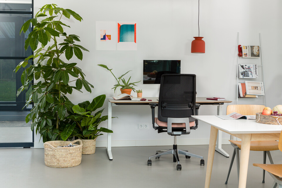 Balance, Ease   landscapem