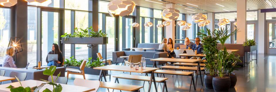 Hogeschool Leiden   headerxxl