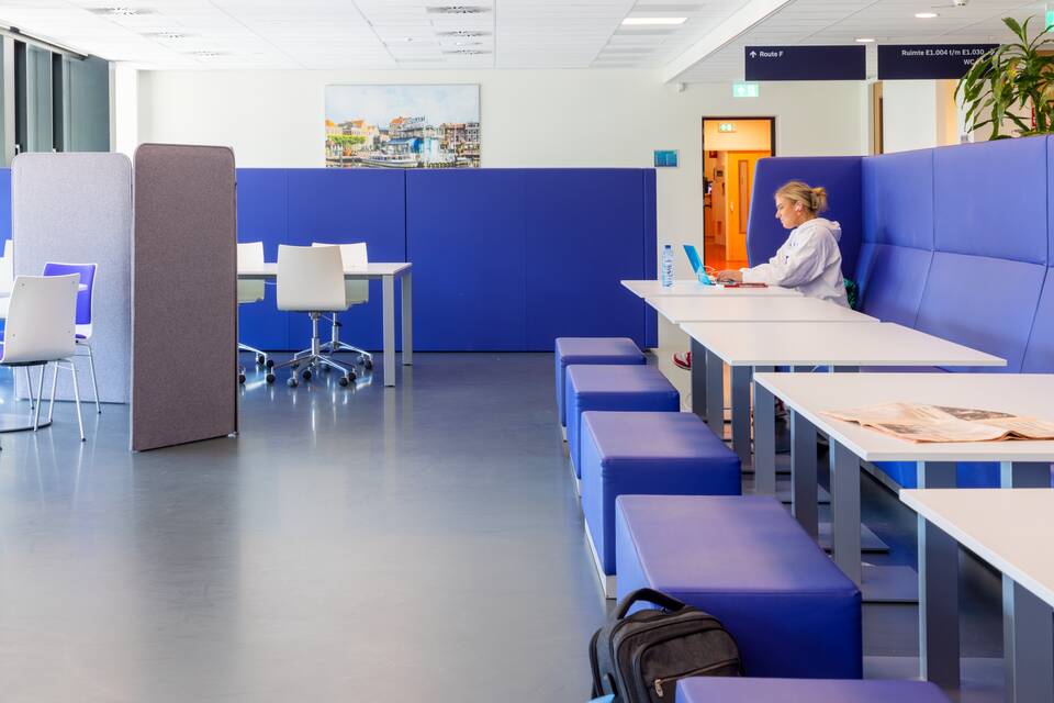 Hogeschool Leiden   landscapexl